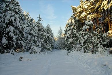 堂堂复活！ 国产逆转裁判风格游戏《无罪之庭》重新上架
